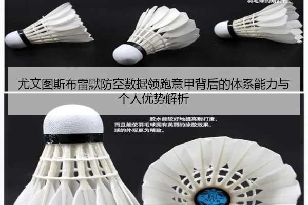 you-wen-tu-si-bu-lei-mo-fang-kong-shu-ju-ling-pao-yi-jia-bei-hou-de-ti-xi-neng-li-yu-ge-ren-you-shi-jie-xi-1-261.jpg